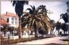 Saida Commune mixte et mosquee